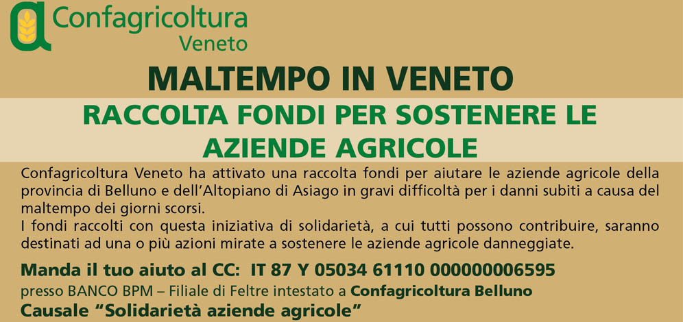 Maltempo in Veneto - raccolta fondi per sostenere le aziende agricole