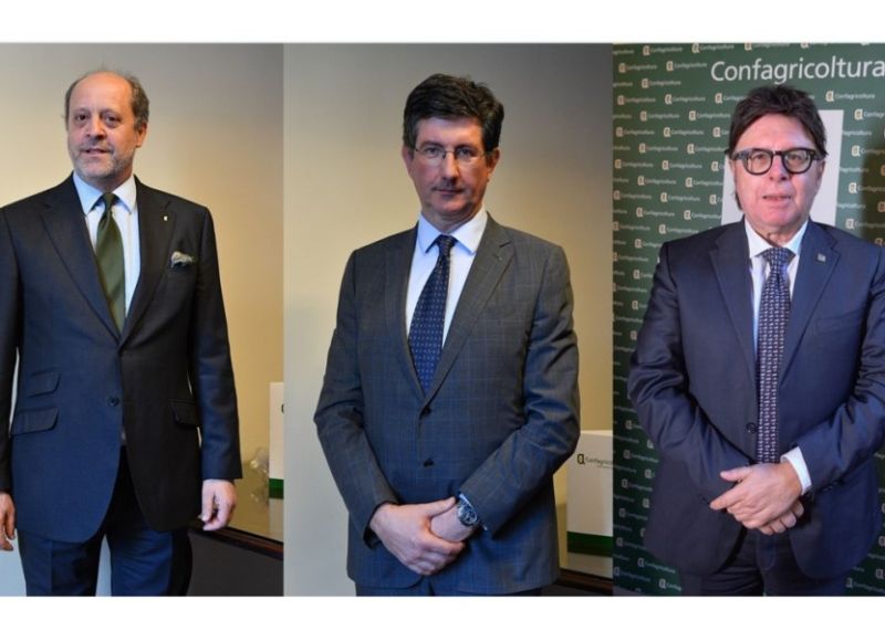 Confagricoltura, nominati dal Direttivo i 3 Vicepresidenti
