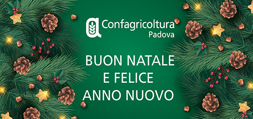 auguri natale