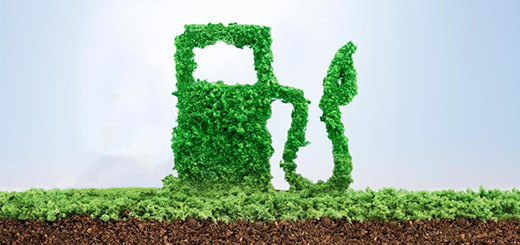 Biometano e biocarburanti avanzati, aggiornato dal GSE l’elenco delle materie prime