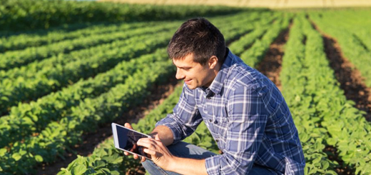 Prelazione per i giovani agricoltori