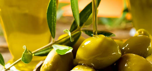 Olio d’oliva nel Veneto: altra annata difficile a causa del clima