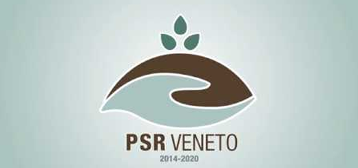 PSR Veneto: aperti i nuovi bandi. 152,5 milioni di euro per giovani e investimenti