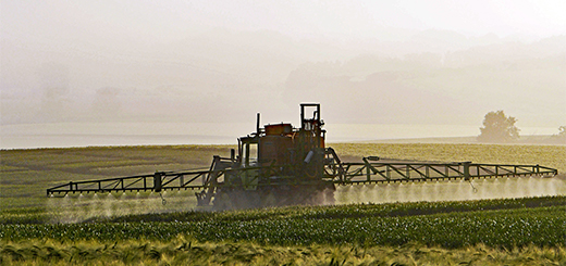 Fertilizzanti: evitare ulteriore aumento dei prezzi e crollo delle produzioni agricole