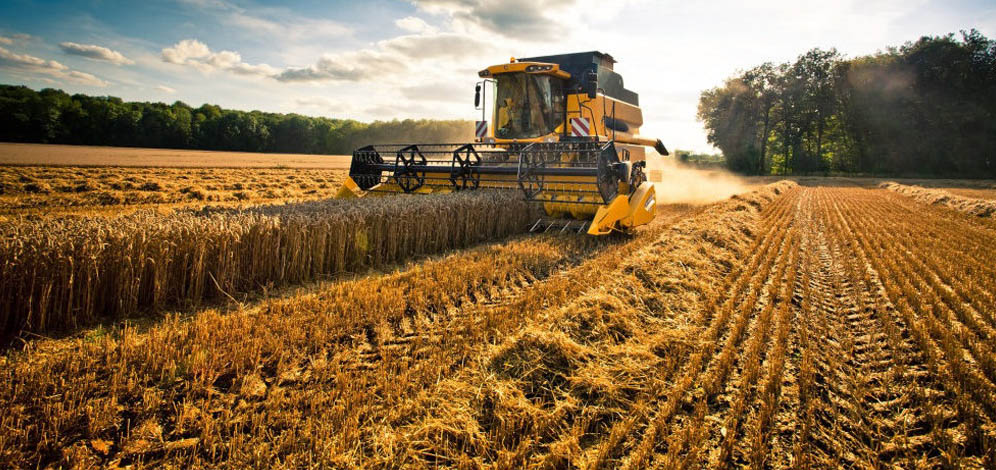 7,7 miliardi di euro – Tanto vale l’agricoltura veneta nel 2022