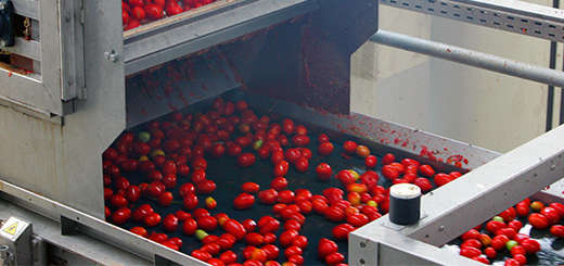 Pomodoro - Riconoscere il giusto prezzo agli agricoltori per valorizzare il prodotto nazionale