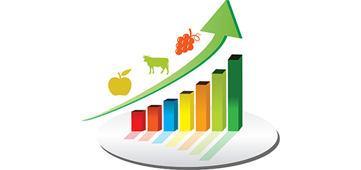 Veneto Agricoltura: 6,4 miliardi la produzione agricola veneta nel 2021