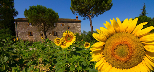 PNRR: interventi per il settore agrituristico