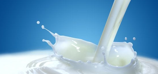 Giornata mondiale del latte: alimento di vita da valorizzare