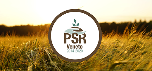 PSR: aperte le domande per 5 bandi