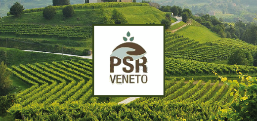 PSR: il Consiglio Regionale approva il piano per il biennio 2021-2022