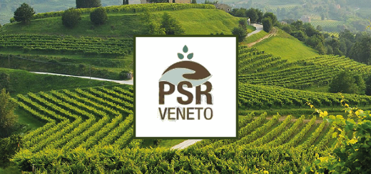 PSR Veneto: apertura di sei nuovi bandi