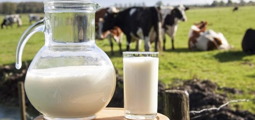 Aiuto accoppiato latte 2020: apertura sistema per acquisizione analisi latte
