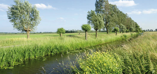 condizionalità 2020 veneto