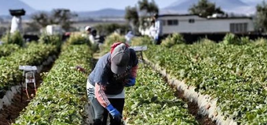 Cittadini ucraini: misure di protezione temporanea