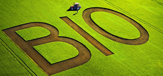 L'agricoltura biologica nel Veneto e le opportunità di sviluppo – Convegno Confagricoltura Veneto