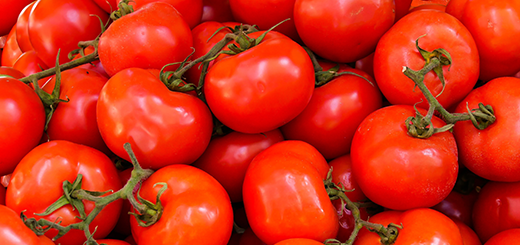 Pomodoro da industria - Raggiunto l’accordo sul prezzo per il bacino del nord