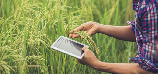 Fondo per gli investimenti innovativi delle imprese agricole