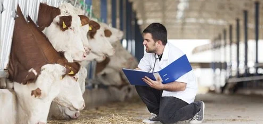 Studio Efsa-Ecdc-Ema: cala l’uso di antibiotici negli animali