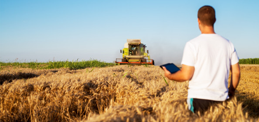 PSR: nuovi bandi per giovani agricoltori. Per il biennio 2021-2022 si attendono le decisioni di Bruxelles