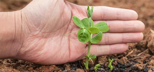 assicurazioni agricole