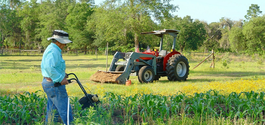 Agricoltore attivo: attenzione agli adempimenti per le fatture