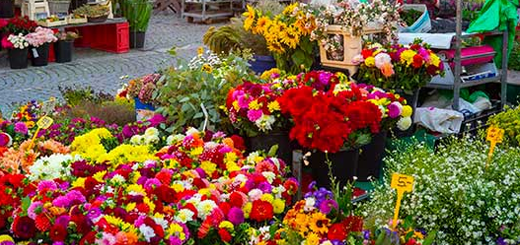Vendita di piante e fiori: l’ultimo Dpcm consente la vendita anche la domenica