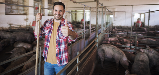 Giovani Agricoltori: bandi aperti per primo insediamento e investimenti