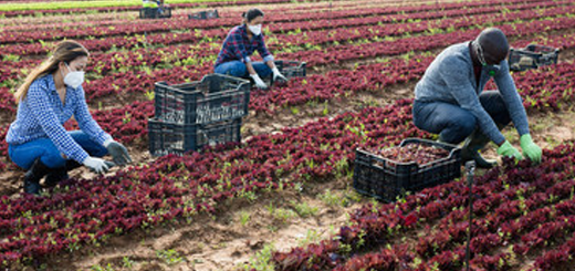 Domanda e offerta di lavoro: i servizi di Erapra del Veneto