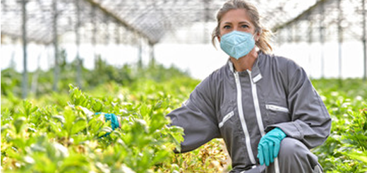 Agricoltura veneta e pandemia: presentati i dati sull’andamento 2020