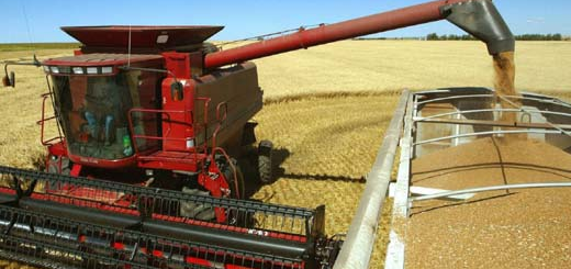Registro cereali: vanno esentati gli agricoltori
