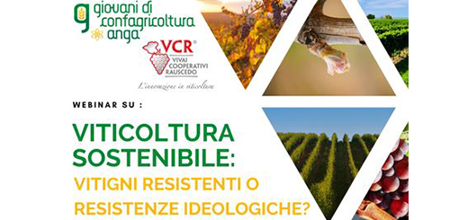 “Viticoltura sostenibile: vitigni resistenti o resistenza ideologica?”: webinar dei Giovani di Confagricoltura