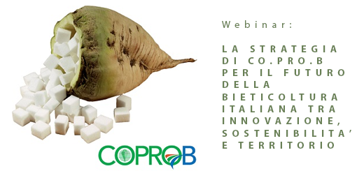 Campagna bietole 2021: webinar con Co.Pro.B – Venerdì 5 febbraio