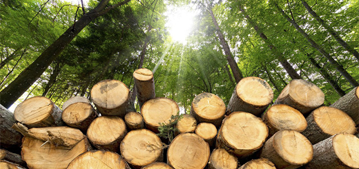 IVA - nuove percentuali di compensazione per il legno