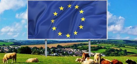 Consiglio UE: fondamentale far ripartire l’export di cereali dall’Ucraina. La PAC deve garantire la sicurezza alimentare