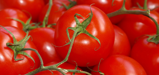 Pomodoro: raggiunto l’accordo sul prezzo