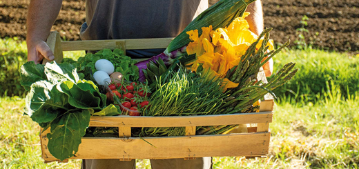 Questionario Analisi della vendita diretta dei prodotti agricoli in Veneto - richiesta partecipazione