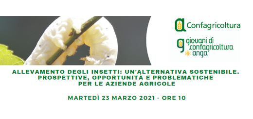 Webinar - Allevamenti degli insetti: un’alternativa sostenibile. Prospettive, opportunità e problematiche per le aziende agricole