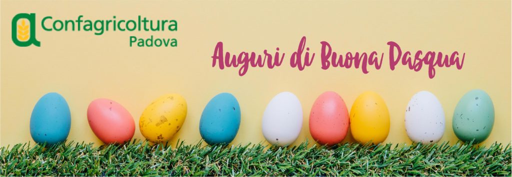 auguri buona pasqua_Tavola disegno 1