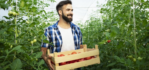 Al via i nuovi finanziamenti ISMEA per giovani agricoltori