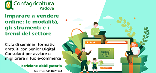 Seminari ecommerce