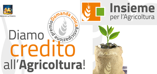 Progetto IPA – Insieme per l’agricoltura: le banche possono anticipare gli aiuti della Domanda Unica