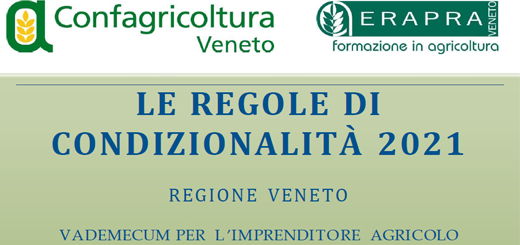 Condizionalità: aggiornate le disposizioni per il 2021