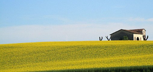 Ristori per le filiere turismo e agricoltura: in arrivo nuovi bandi regionali