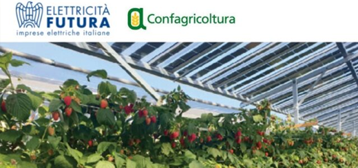 Agricoltura e fotovoltaico insieme per la transizione ecologica ed energetica