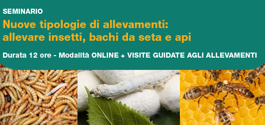 Seminario ＂Nuove tipologie di allevamenti: allevare insetti, bachi da seta e api＂