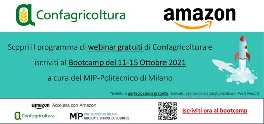 Amazon bootcamp: corso di formazione con Amazon per la vendita online