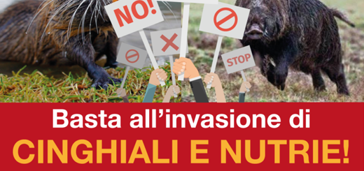 Basta all’invasione di cinghiali e nutrie!