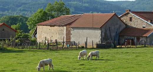 PNRR - Architettura rurale: ulteriori chiarimenti sul bando