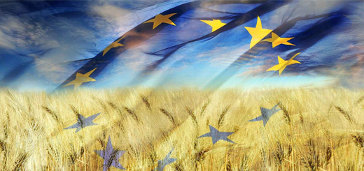 Crisi alimentare: aumentare la produzione di cereali nell’UE